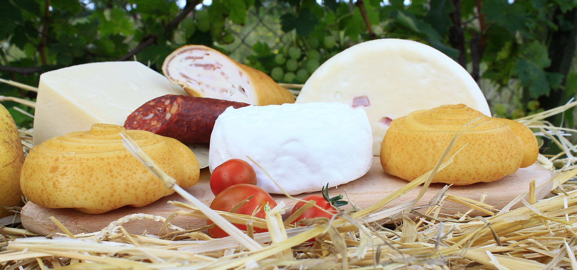 Az ízek rabja vagyok